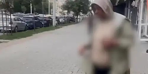 gif porumbel gif