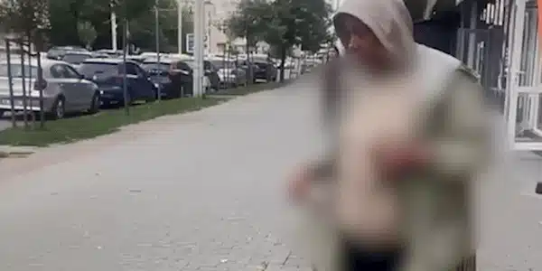 gif porumbel gif