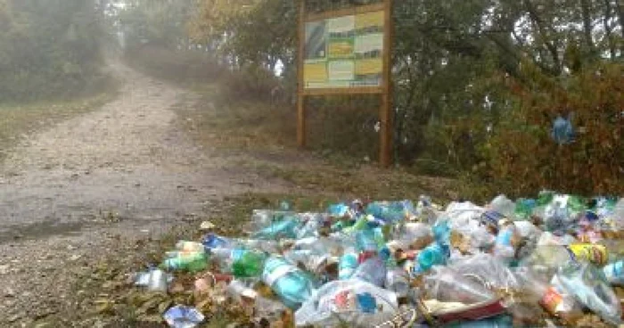 Braşov: Mii de pet-uri, „oferta turistică“ de pe Tâmpa