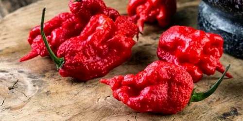 carolina reapers