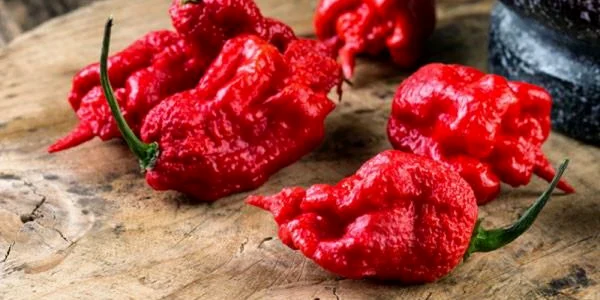 carolina reapers