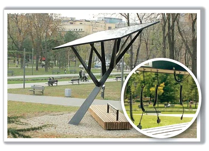 
    Acesta este primul “copac-priză”  din România  