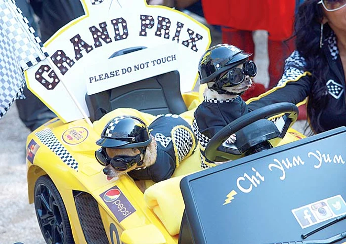 „La anul sigur mă dau bolnav! Dacă mă-mbracă-n rachetă?”