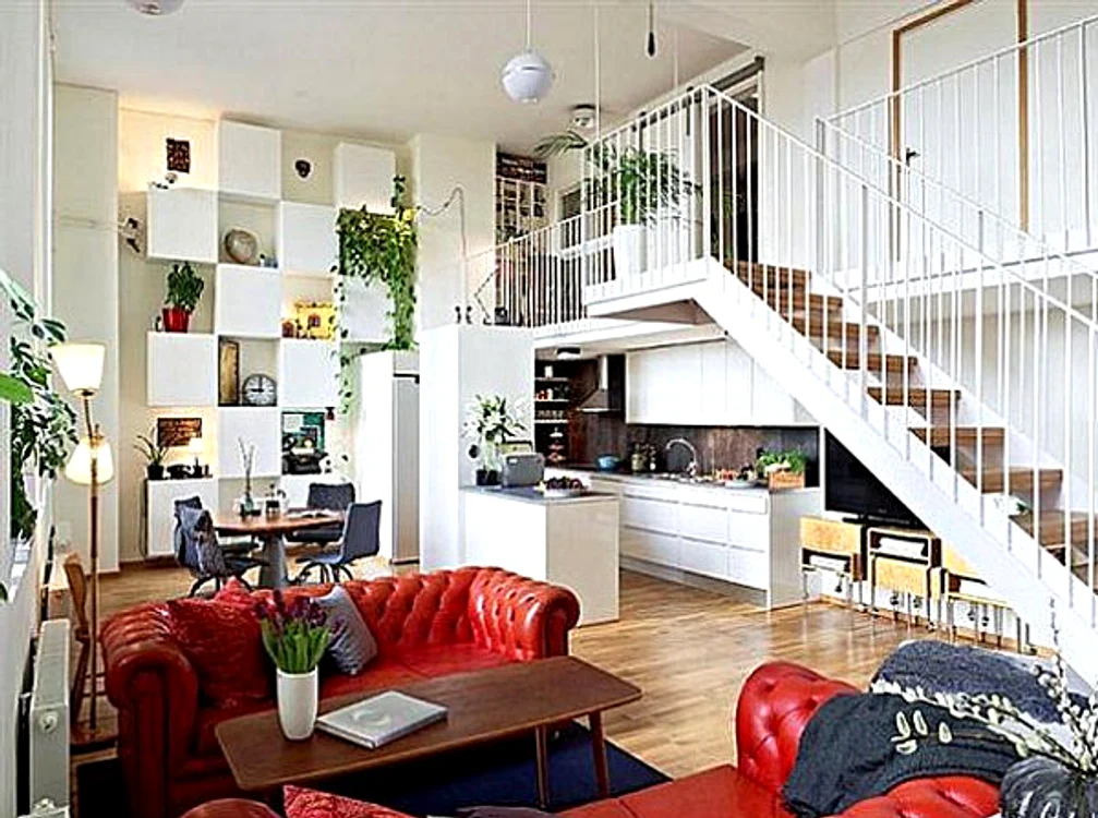 
    Sporul casei este una dintre cele mai frumoase plante de apartamentFoto: acasa.ro  