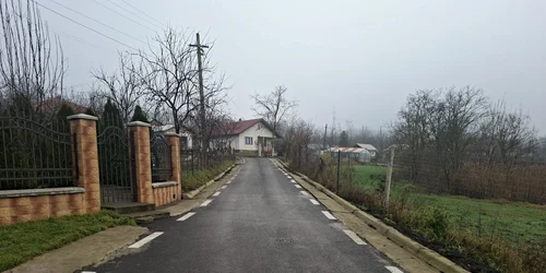 strazi saveni foto cosmin zamfirache (2) jfif