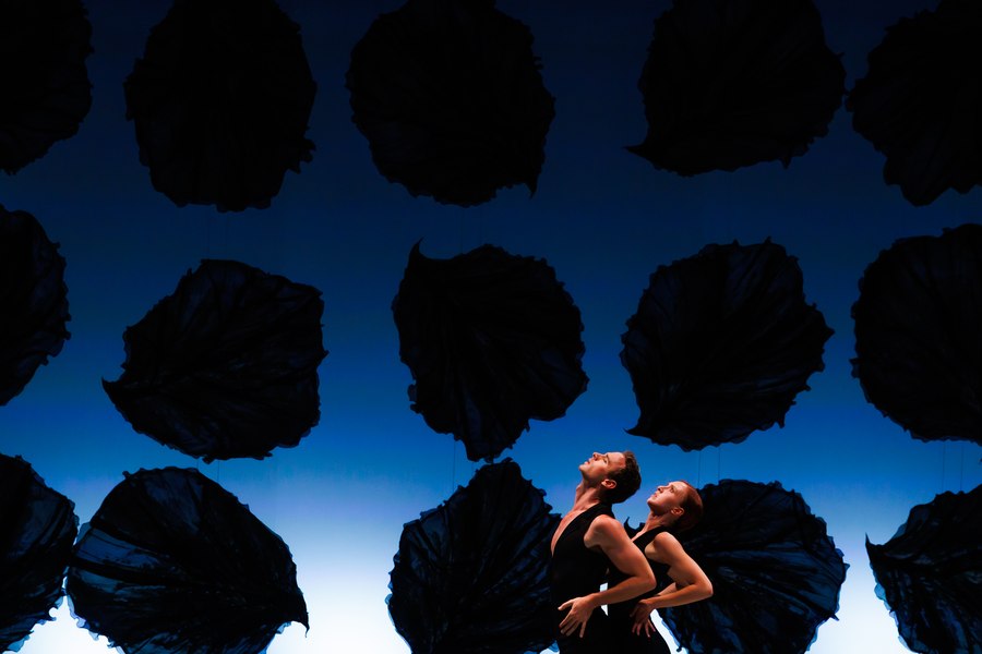 Malandain Ballet Biarritz şi ale sale Anotimpuri, la Enescu