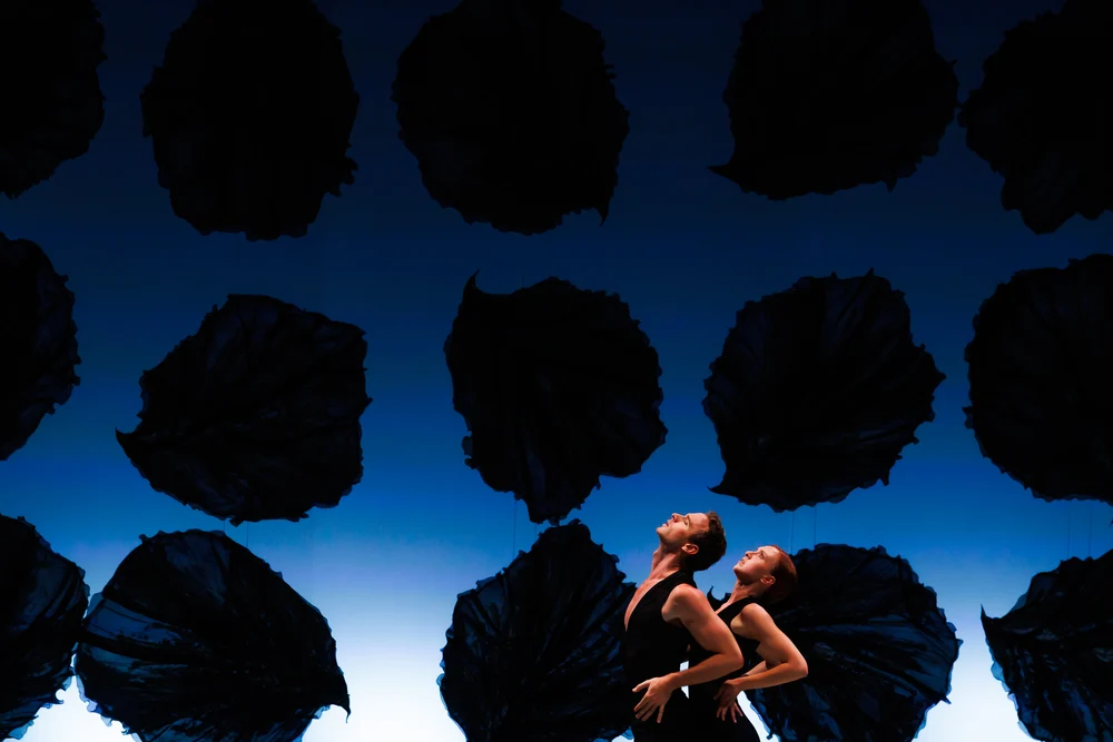 Malandain Ballet Biarritz şi ale sale Anotimpuri, la Enescu