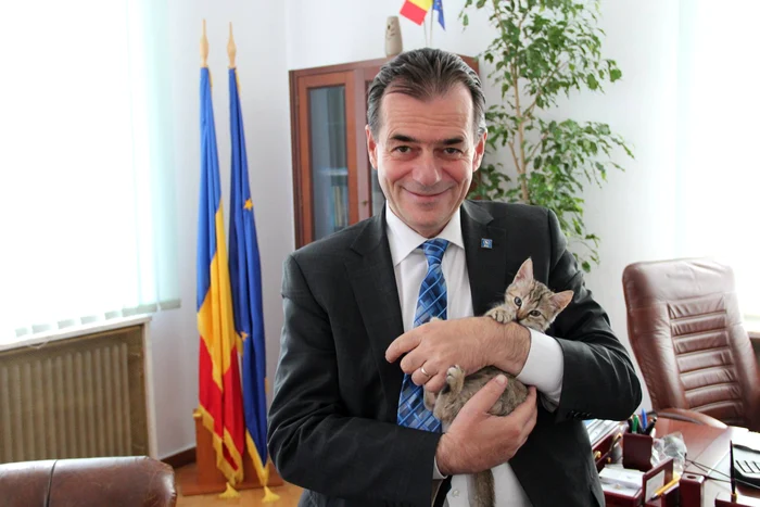 6 avere ludovic orban 2 jpg jpeg