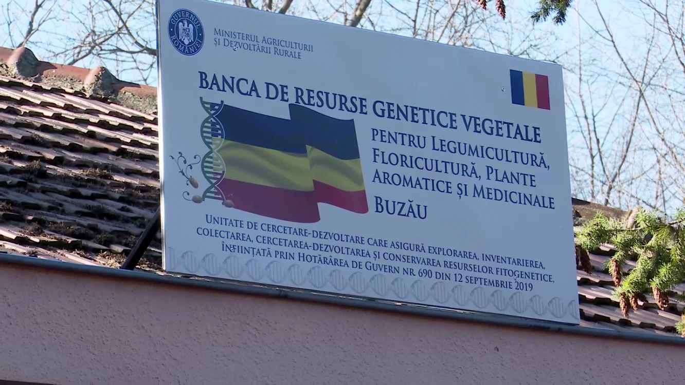 Arhivă
