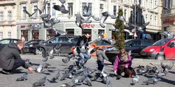 cluj