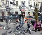 cluj