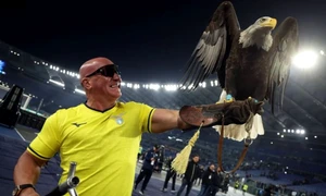 lazio soimar penis jpg