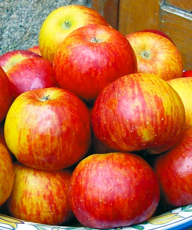 Bucura-te de produsele gradinarului din Austria