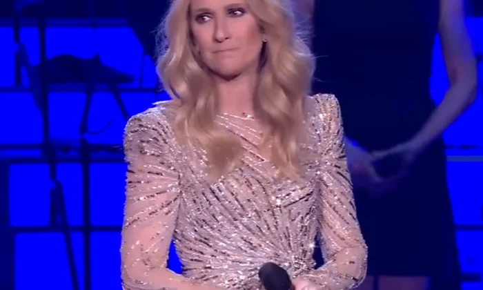 celine dion png