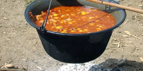 Gulyas080 jpg
