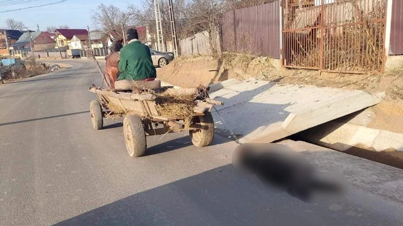 Momentul șocant în care câinele mort este târât de o căruță a fost filmat FOTO captură video