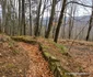 Cetatea dacică Fețele Albe Foto Daniel Guță ADEVĂRUL (98) jpg