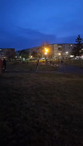 Fată costumată în pisică, într-un parc din Arad. S-a plimbat în patru labe și a atacat un câine VIDEO