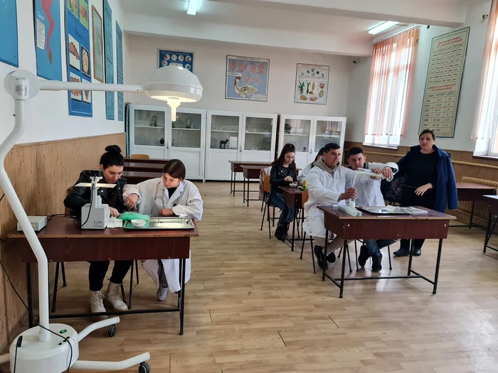 Anumite lucrări practice au loc în sala de clasă FOTo: Alina Mitran