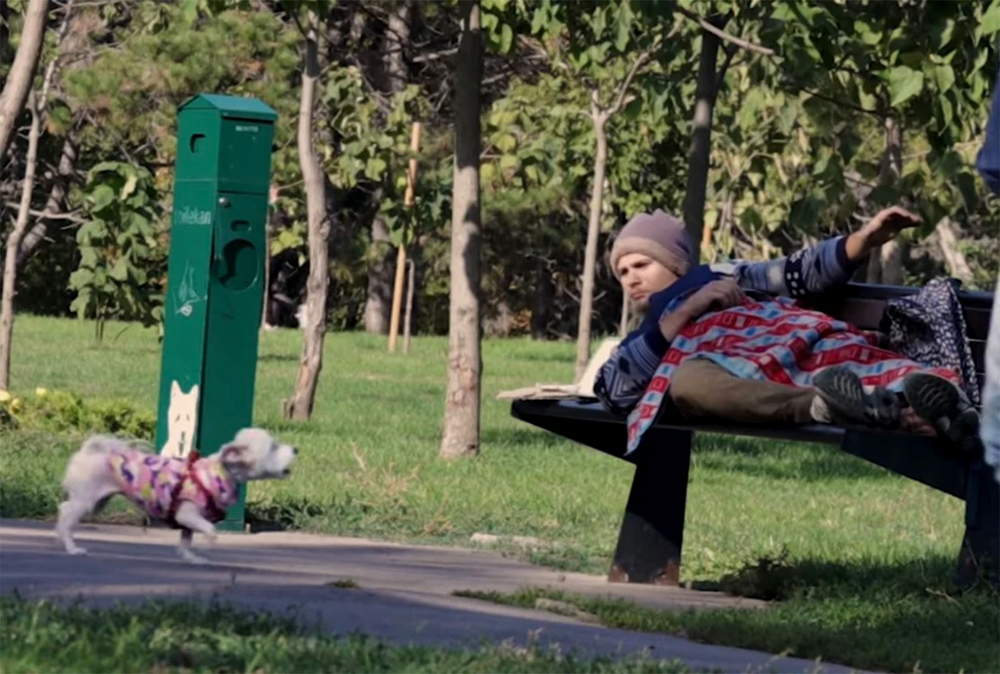 Trezit de un câine când s-a odihnit pe o bancă din parc