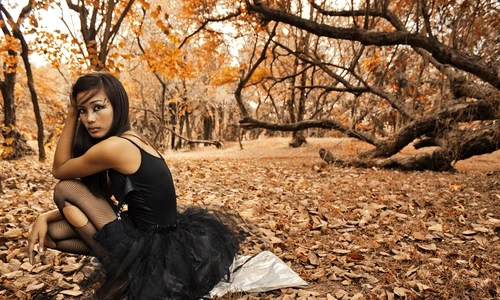 1 machiaj de toamna jpg jpeg