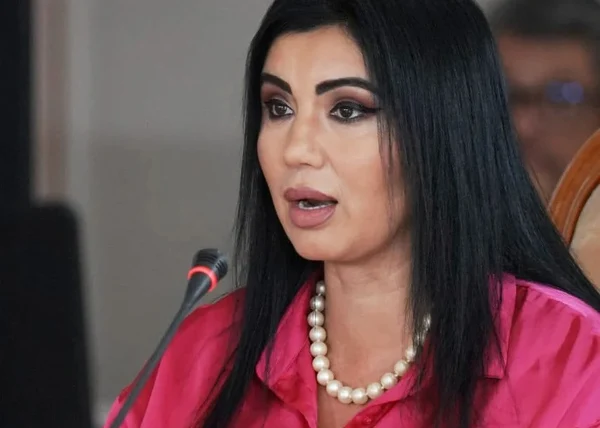 Adriana Bahmuțeanu i-a scris premierului Marcel Ciolacu FOTO Facebook / Adriana Bahmuțeanu 