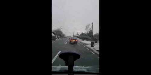 61cb3dd65163ec427111b507 jpg