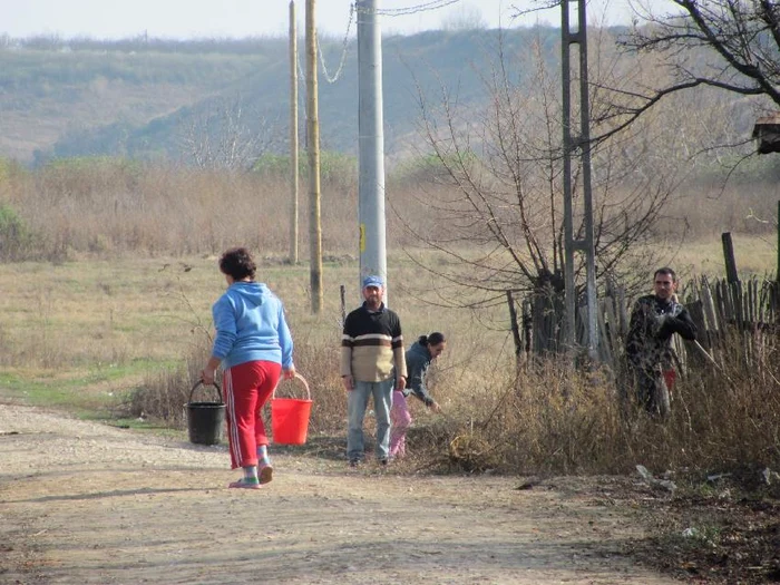 Apă Albeşti, foto 3