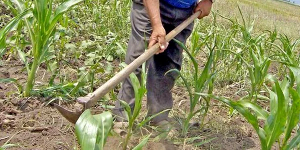 taran-la-sapa