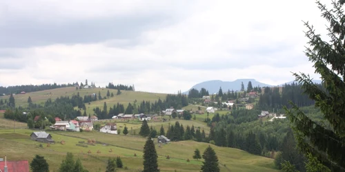 pasul bargaului