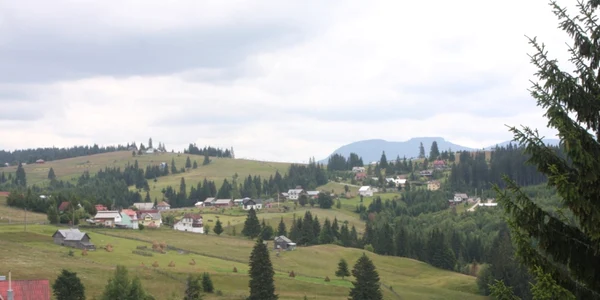 pasul bargaului