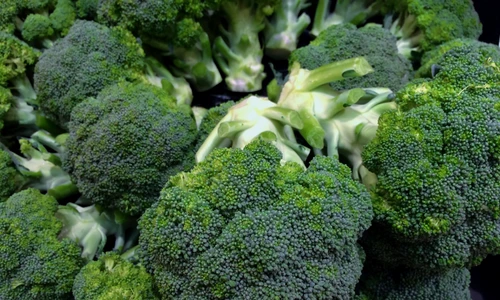 broccoli jpeg
