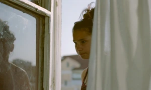 Întîlnire cu România la Astra Film Sibiu, 2014 jpeg