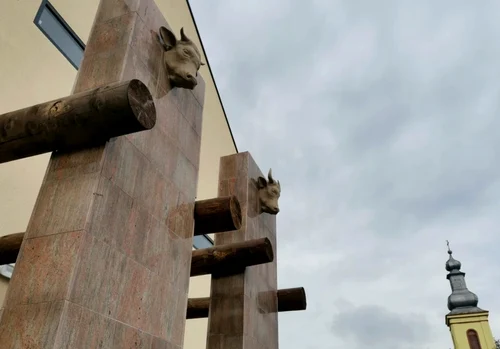 Muzeul de la Parța FOTO Ștefan Both
