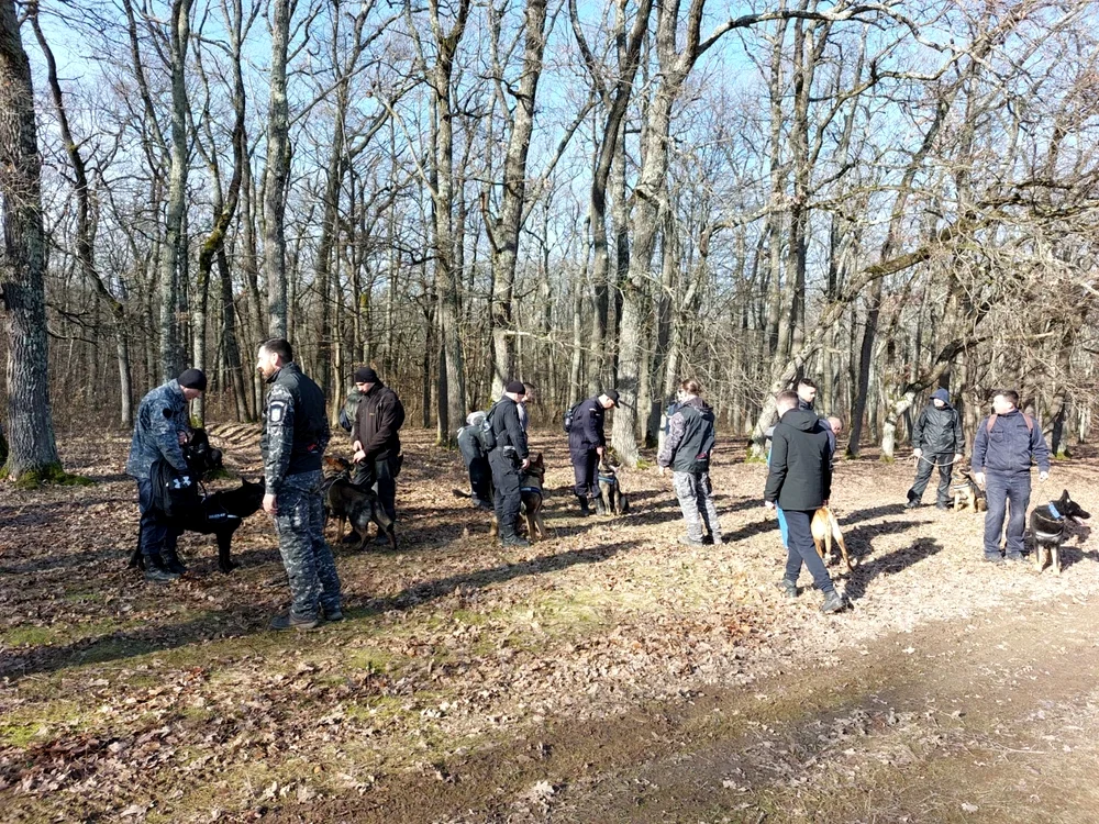 Polițiștii continuă căutările studentei dispărute acuk o lună FOTO: IPJ Sibiu