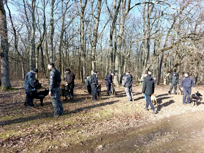 Polițiștii continuă căutările studentei dispărute acuk o lună FOTO: IPJ Sibiu