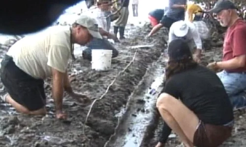 O canoe, veche de 1100 de ani, găsită în Florida   VIDEO jpeg