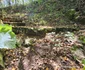 Cetatea dacică Bănița Foto Daniel Guță ADEVĂRUL (58) jpg