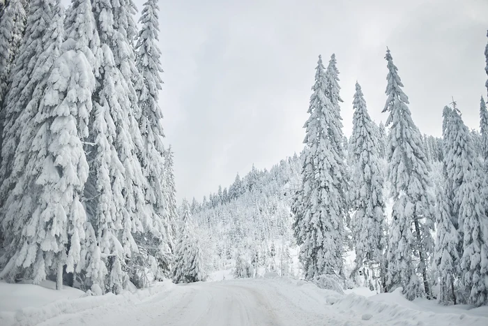 Ninsoare abundentă în Harghita. Foto: Facebook