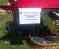 Expoziţie chinologică la Timişoara 2016 FOTO Ştefan Both