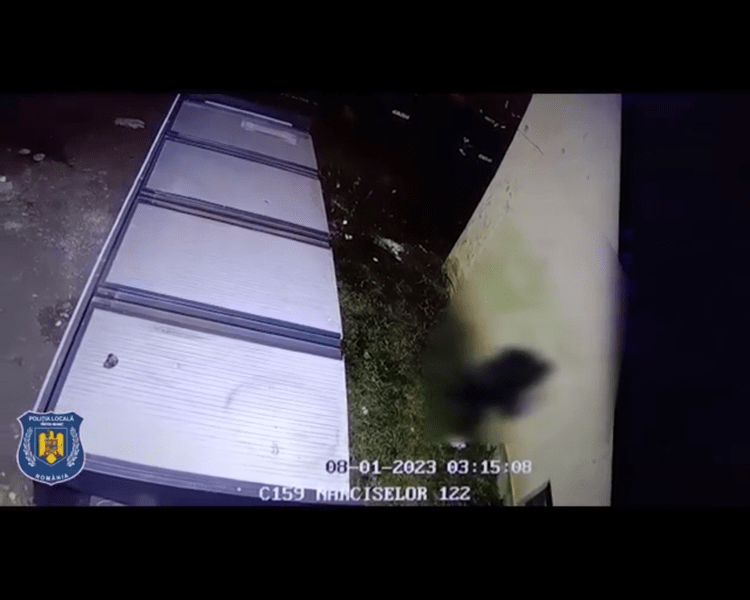 Mesaje obscene scrise pe blocul fostei iubite. Bărbatul din Piatra Neamț a vrut să se răzbune 