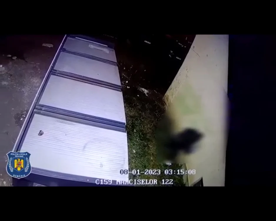 Autorul a fost depistat de polițiștii locali FOTO Poliția Locală Piatra Neamț