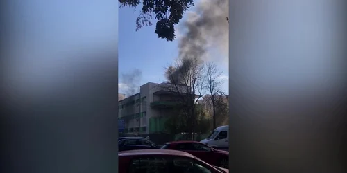 6156b7435163ec4271d83fb3 jpg