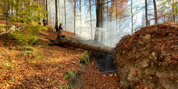 piscul câinelui incendiu foto primaria sinaia