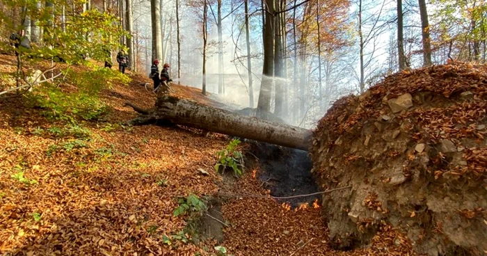 Focul se mainfestă pe o suprafaţa de 800 de metri pătraţi. Nu se cunoaşte deocamdată cine a provocat incendiul FOTO Primăria Sinaia