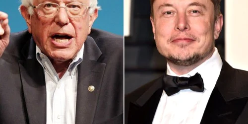 bernie sanders si elon musk