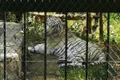 zoo barlad jpg