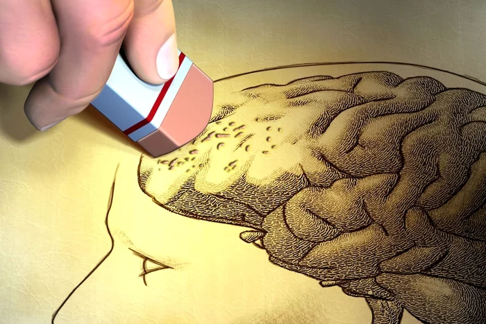 O dietă anume poate reduce riscul de demență, potrivit unui nou studiu. Foto: Arhivă