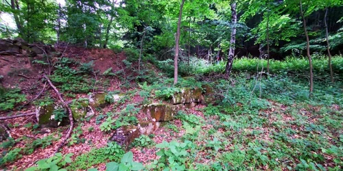 cetatea fetele albe foto daniel guta adevarul