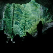 Imagine articol Berlinala 2026 03 Mihai Fulger Adevarul jpg